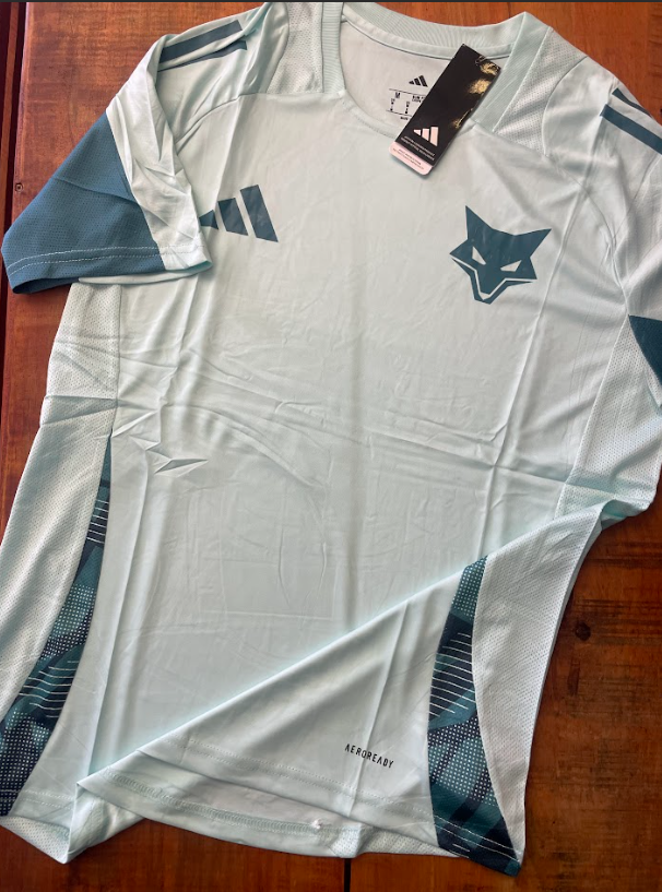 Camisa Cruzeiro 25/26 Treino Adidas Masculina - Azul Turquesa
