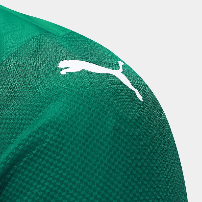 Camisa Palmeiras I 25/26  Jogador Puma Masculina - Verde