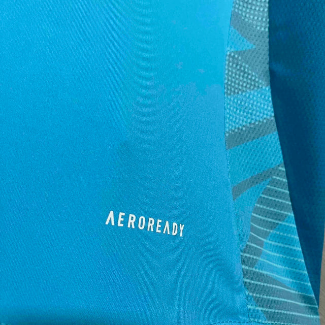 CAMISA DO FLAMENGO TREINO 25/26 - AZUL CLARO